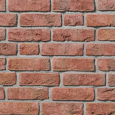 Клинкерная облицовочная плитка FORMBACK Светло-красный пестрый (hellrot-bunt) ручн.форм. (handform) 240x14x71 мм, Röben